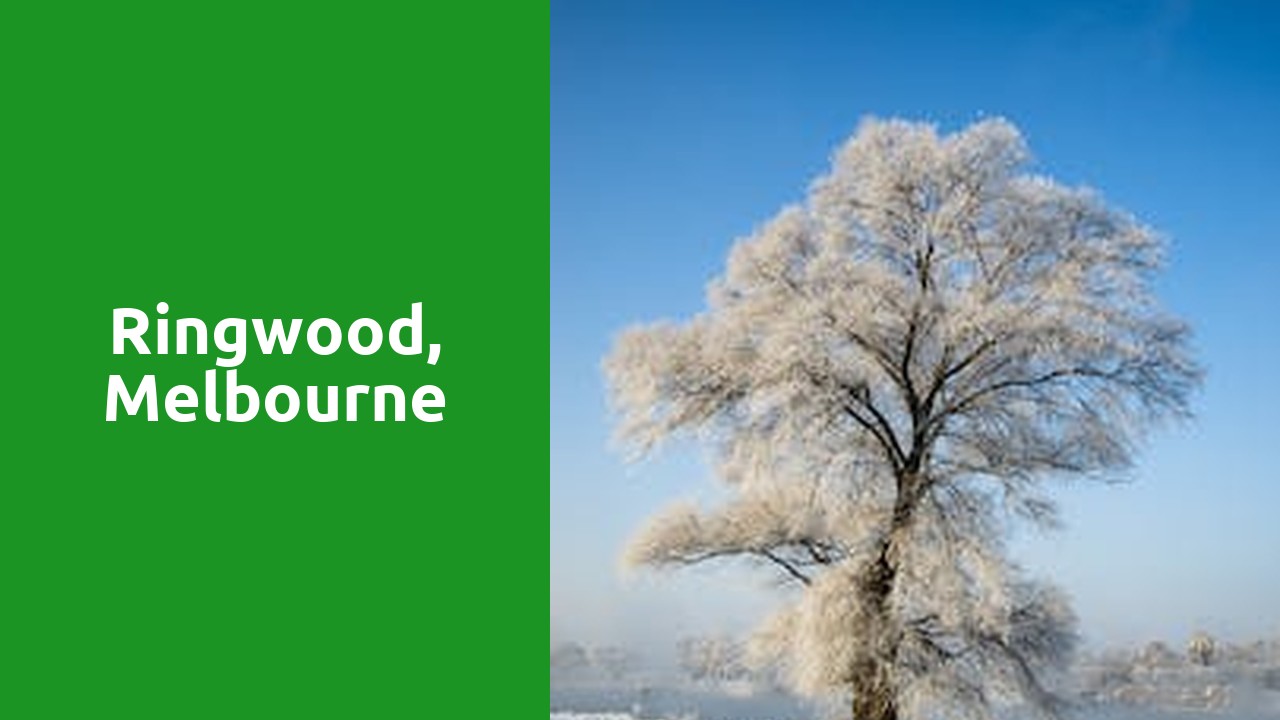 Ringwood, Melbourne